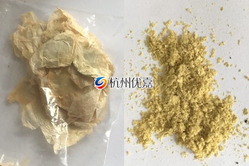 如何利用宋慈高通量多樣品組織研磨儀研磨植物組織？